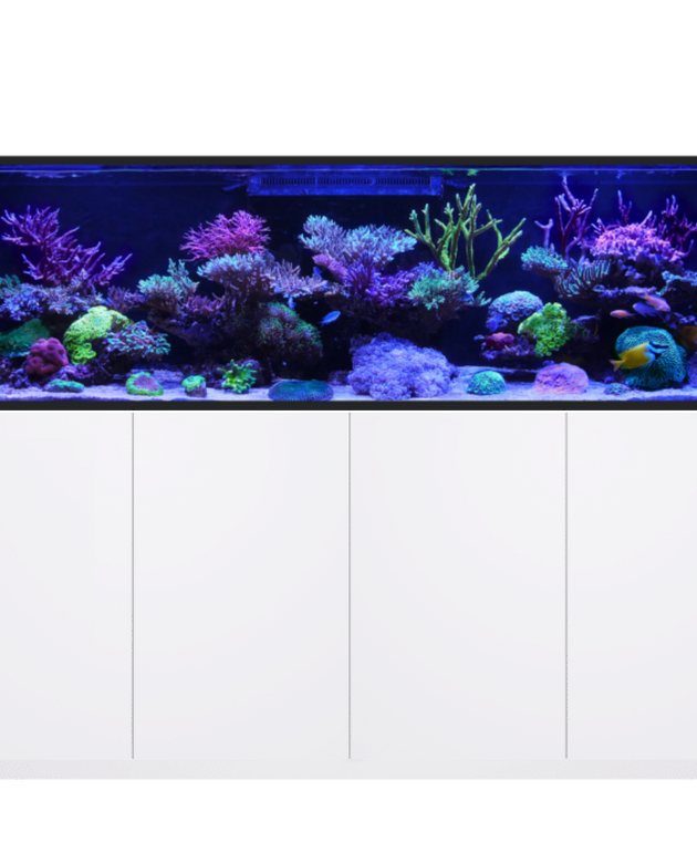 REEFER S-1000 G3+ White