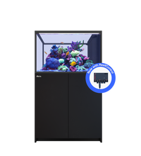 REEFER Peninsula 350 G3+ Black