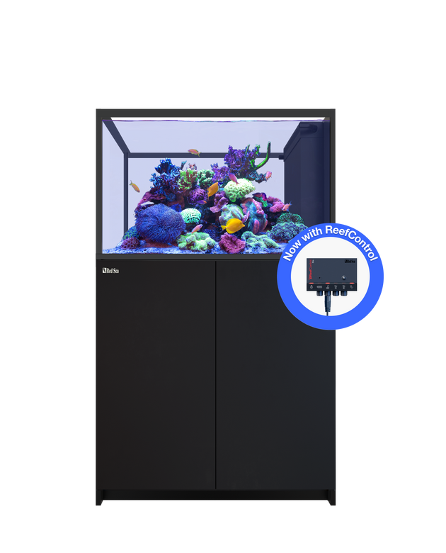REEFER Peninsula 350 G3+ Black