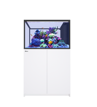 REEFER Peninsula 350 G3+ White