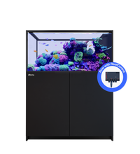 REEFER Peninsula 500 G3+ Black