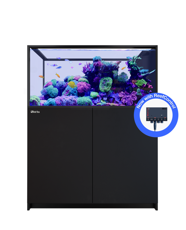 REEFER Peninsula 500 G3+ Black
