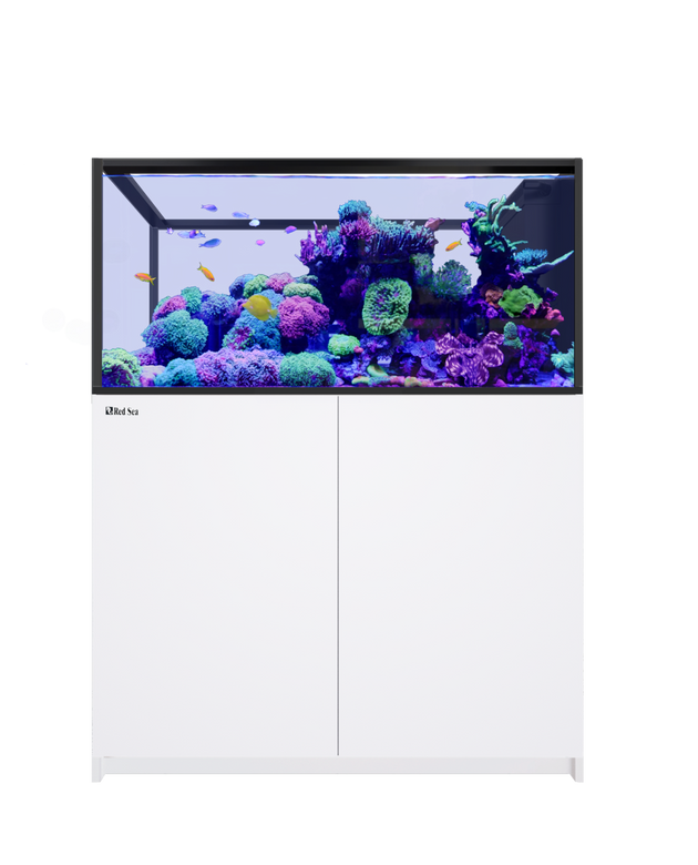 REEFER Peninsula 500 G3+ White