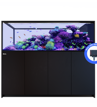REEFER Peninsula S 950 G3+ Black