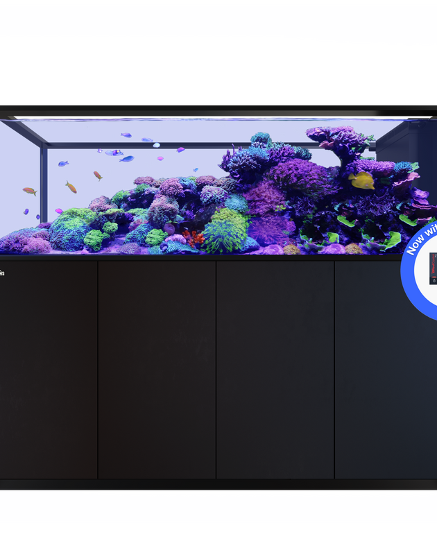 REEFER Peninsula S 950 G3+ Black