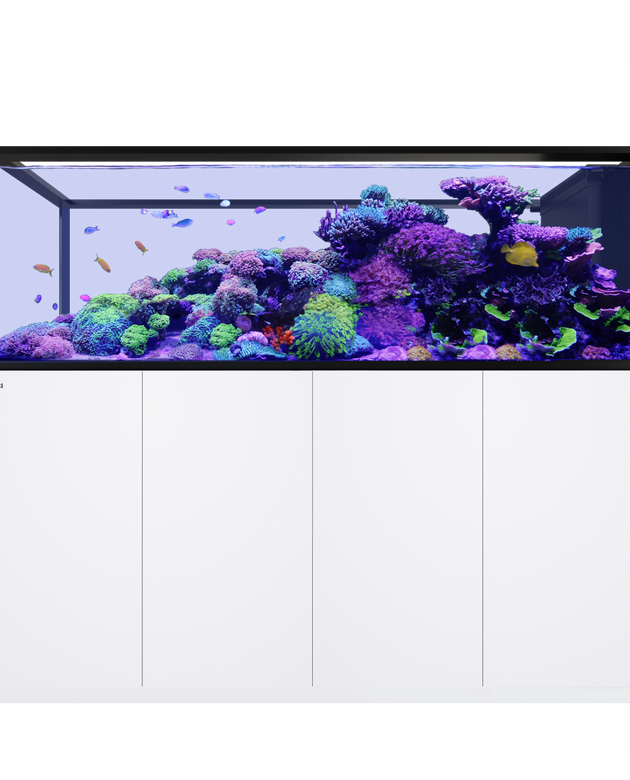 REEFER Peninsula S 950 G3+ White