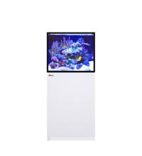 REEFER 200 G3+ White