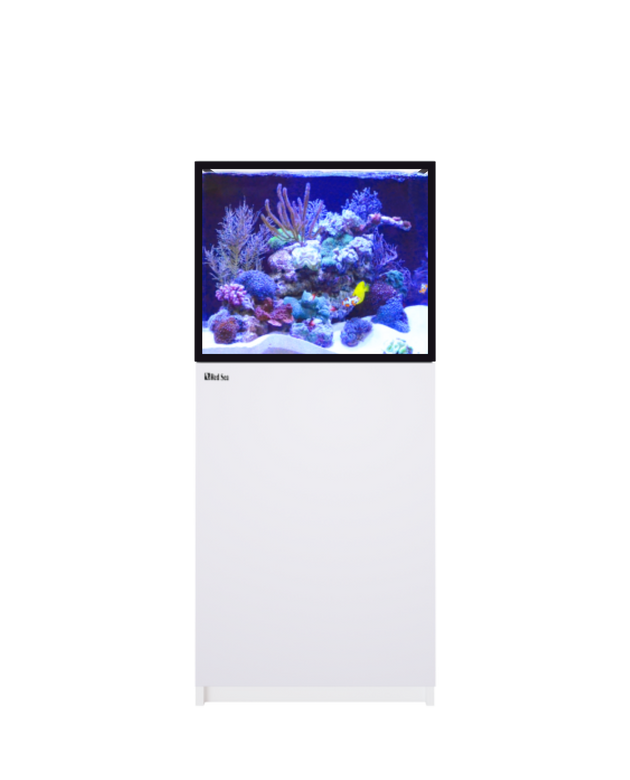 REEFER 200 G3+ White