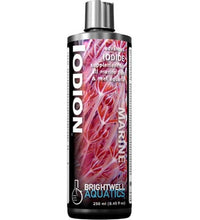 Brightwell Aquatics Iodion - Liquid Iodine Supplement - Long