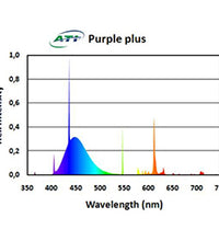 ATI 80W Purple Plus