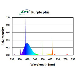 ATI 80W Purple Plus