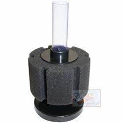 ISTA Bio Sponge S size - Round Bio Foam