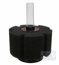 ISTA Bio Sponge L size - Round Bio Foam
