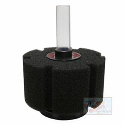 ISTA Bio Sponge L size - Round Bio Foam