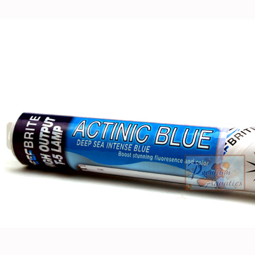 Reef Brite 54 Watt T5 HO Actinic