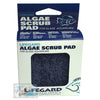Lifegard 3" x 3" Blue Algae Scrub Pad for Glass Aquarium