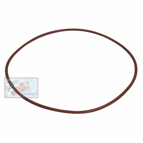 ASM Body O-Ring for G2, G25H, and G3
