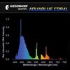 Giesemann Aquablue Coral T5 54W