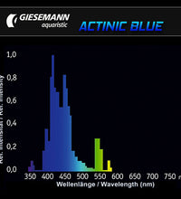 Giesemann Actinic Blue T5 54W