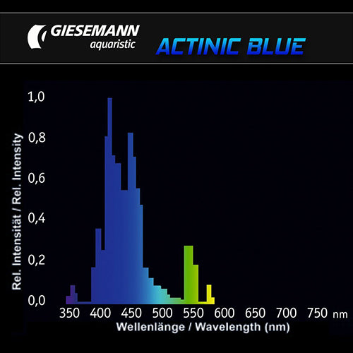 Giesemann Actinic Blue T5 54W