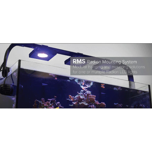 Ecotech Multi-Light RMS Track (A) 80.5 in