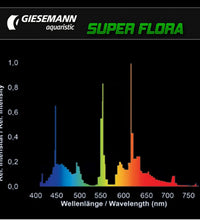 Giesemann Super Flora T5 24w 