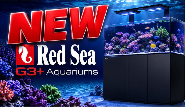 Premium Aquatics