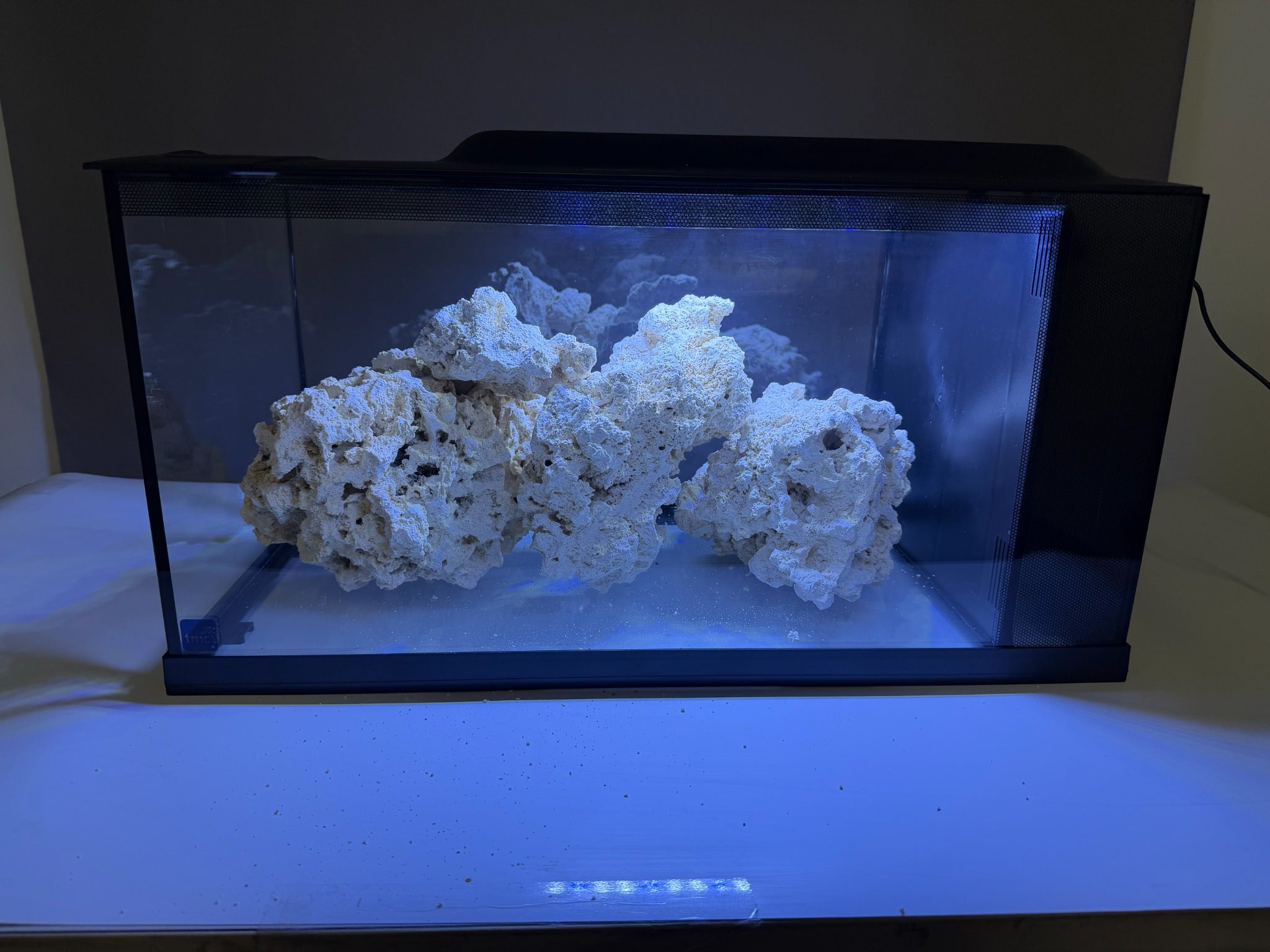 Marco Rock under aquarium lighting