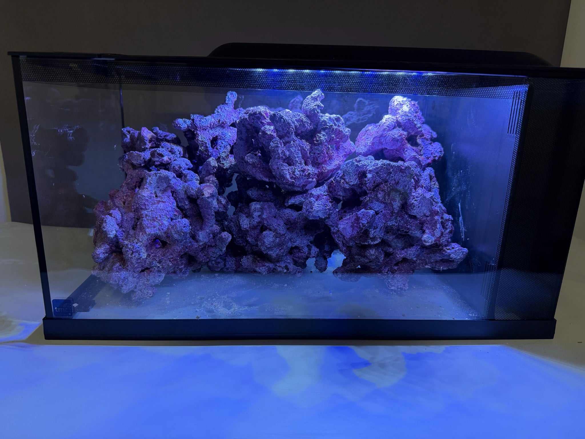 Morroca Rock under aquarium lighting