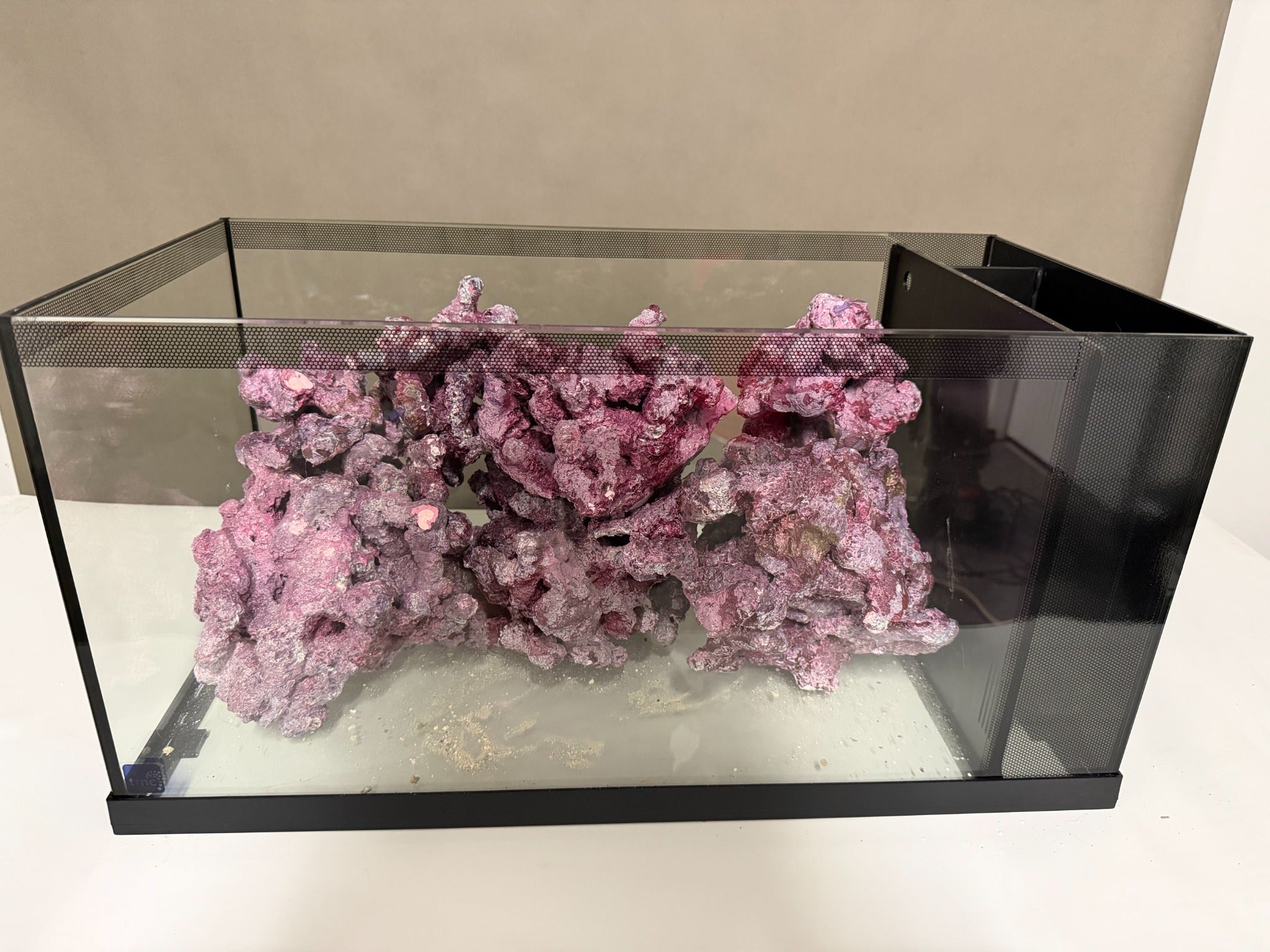 Morroca Rock without aquarium lighting