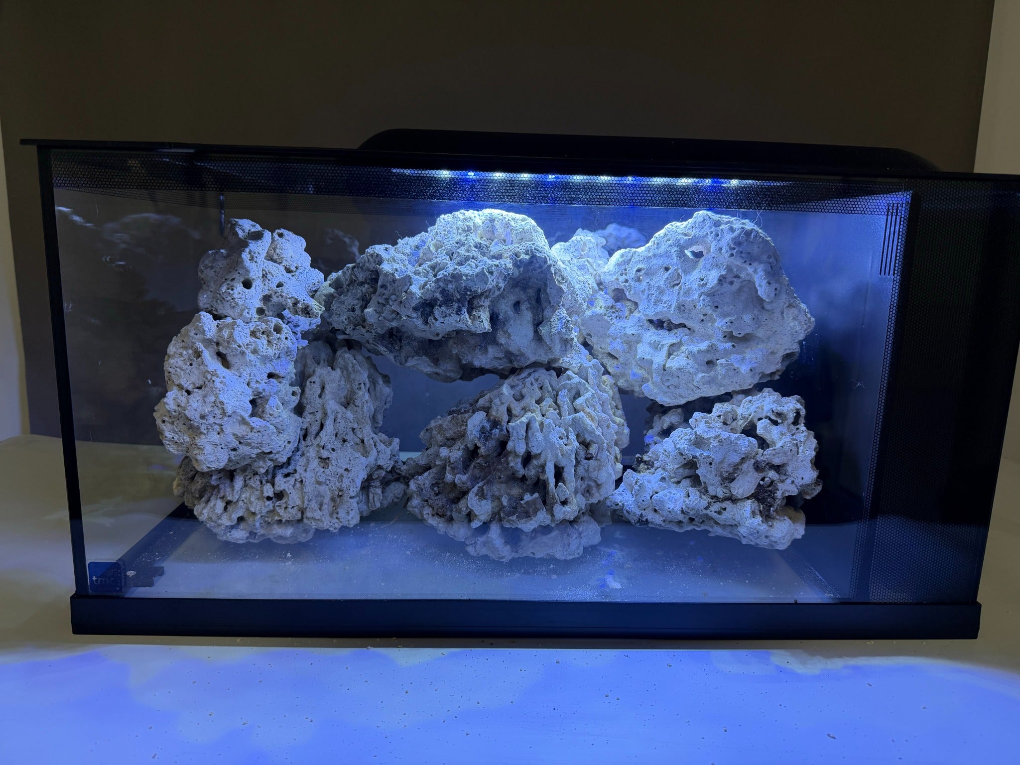 Pukani Rock under aquarium lighting