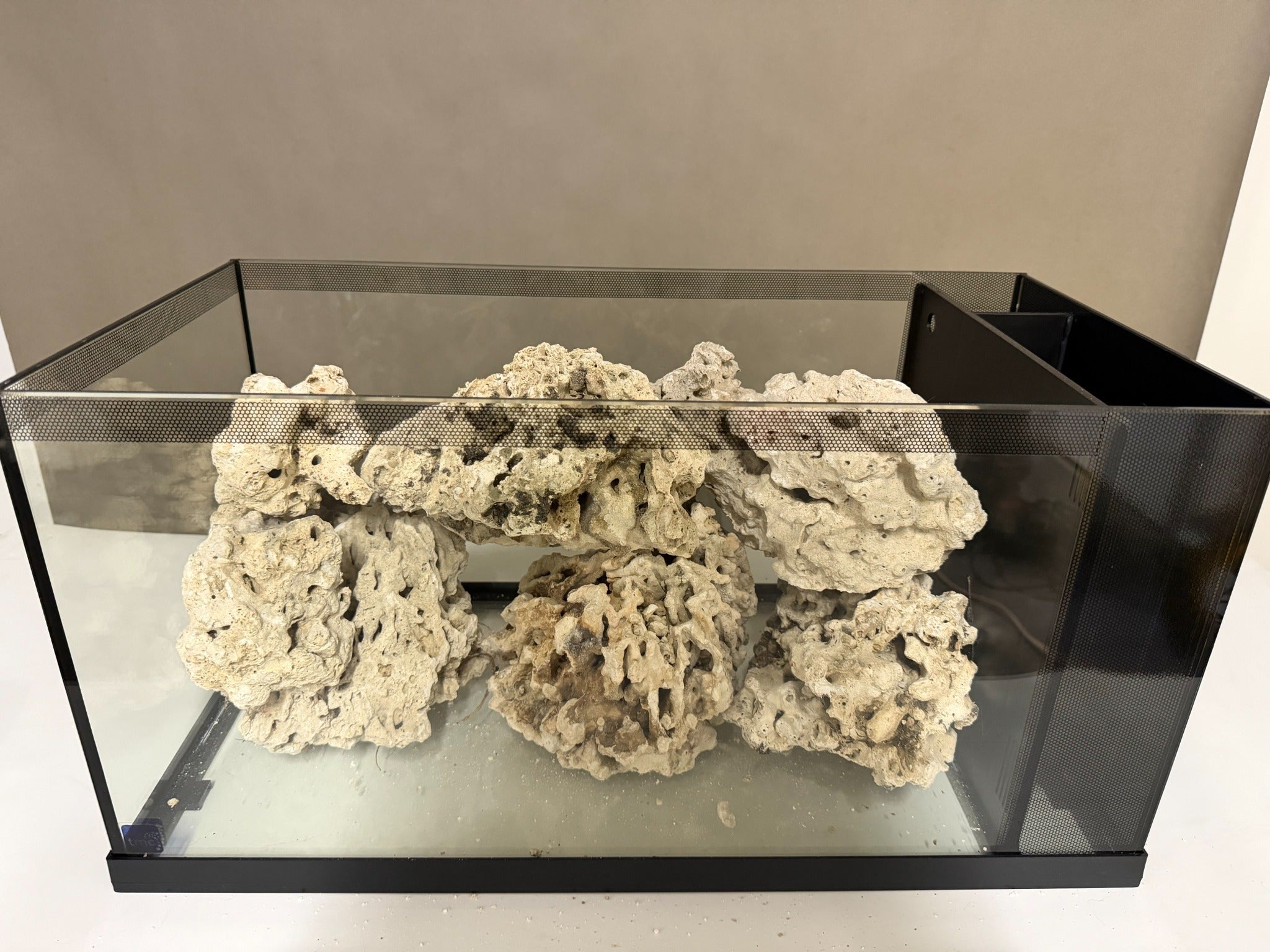 Pukani Rock without aquarium lighting