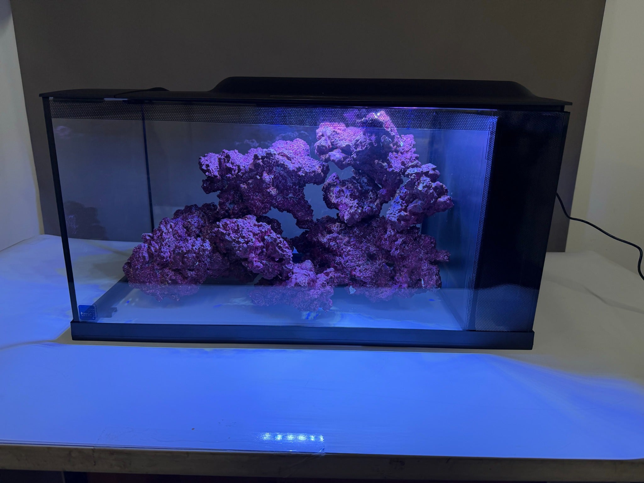 Real Reef Rock under aquarium lighting
