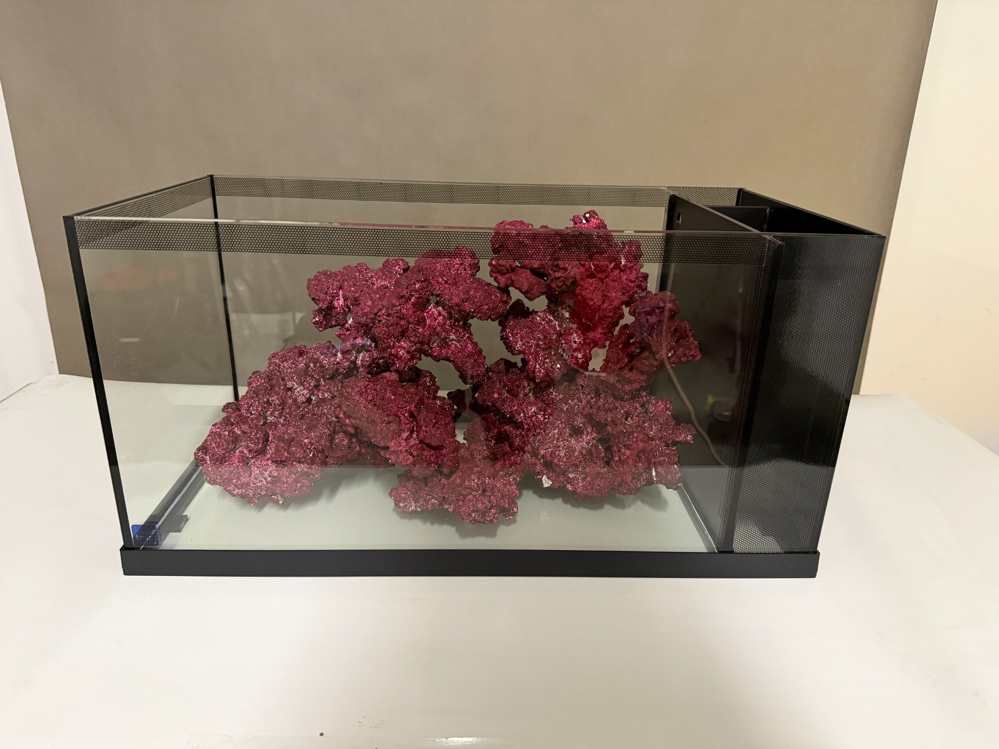 Real Reef Rock without aquarium lighting